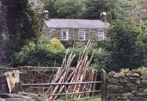 Swainsons Farm