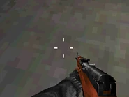 SKS MW3DS
