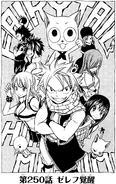 Cover 250