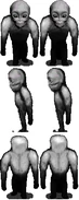 Steve3