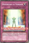 ReinforceTruth-DP09-SP-C-1E
