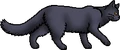 Stormfur.loner