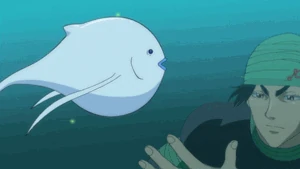 Coco Knocking Puffer Whale