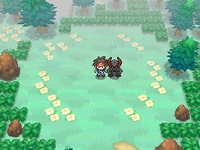 Haxorus variocolor B2N2