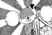 Secret Weapon Rabbit