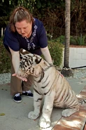 Houck with tiger