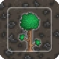 Biome s0