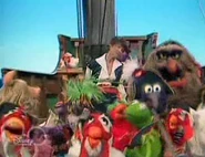 Medley.pirates