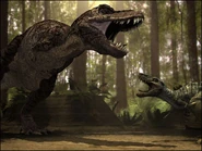 JFC Rex