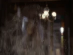 5x08-37