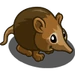 Elephant Shrew-icon