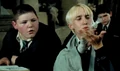 Draco2hp3.png