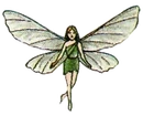 Fairy FF1