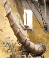 Erumpent Horn.jpg