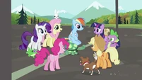 Rainbow Dash's friends gathering around Rainbow Dash and Tank S2E07