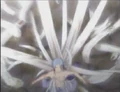 Eightfold Vine3.png
