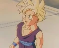 Gohan pw1