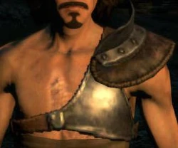 Chestguard