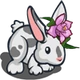 Orchid Bunny-icon