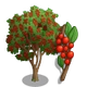 Possumhaw Holly Tree-icon