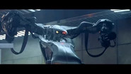 T3 protoprime-T