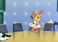 BabsBunnyWonderBabs