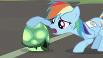 Rainbow Dash petting Tank S2E07