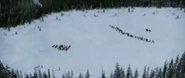Volturi confrontation