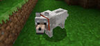 Puppie!