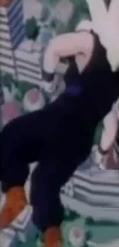 Gohan hrut d
