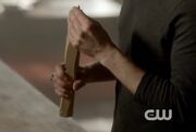 Stake-vampire-diaries-murder-of-one