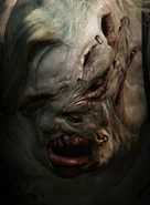 Ustanak7
