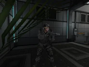 Bushmaster II