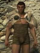 Direwolf Cape