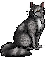 Willowbreeze.warrior