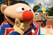 Hopihariernie