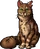 Crookedstar.leader