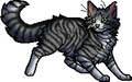 Crookedstar.apprentice.alt