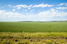 Plains1