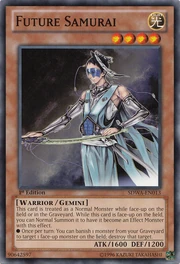 FutureSamurai-SDWA-EN-C-1E