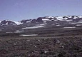 Tundra1