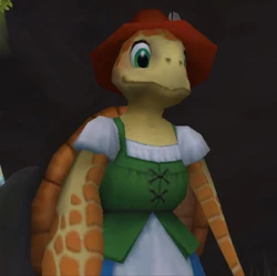 Turtle mother