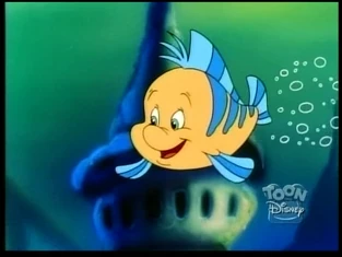 Flounder