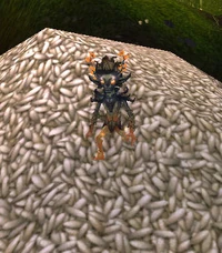 TrickyMaizer