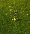 MaizerlyThief