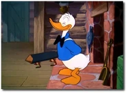 44409