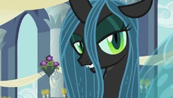Queen Chrysalis ID