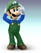 Brawl mama luigi