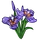 Walking Iris-icon