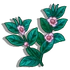 Forbidden Tea-icon